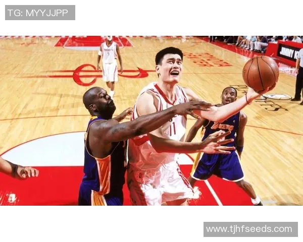 姚明亲自示范篮球技巧揭秘如何轻松摸到篮框的秘诀