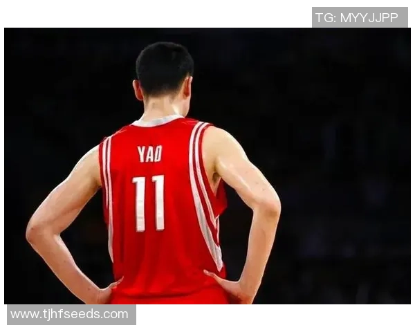 姚明的挂篮：从篮球场上的传奇到人生舞台的精彩演绎