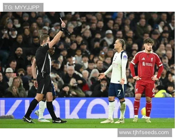 英超激战利物浦与那不勒斯零平红牌事件引发全场热议与十大精彩瞬间回顾