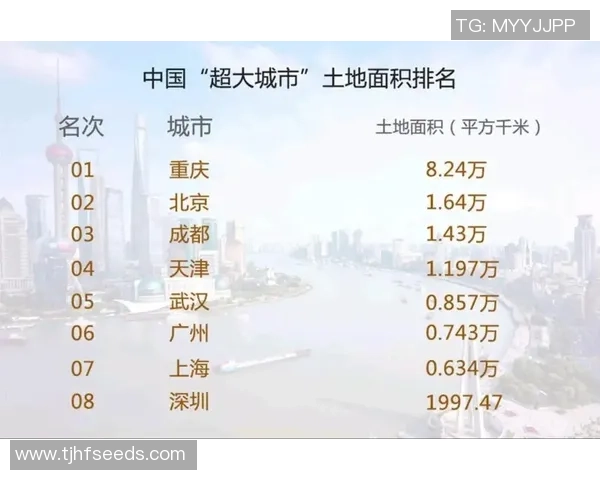 赛后分析：上海排球队与重庆排球队的默契配合与战术执行探讨