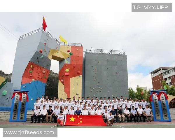 重庆滑板队的战术解析与控制体系探讨