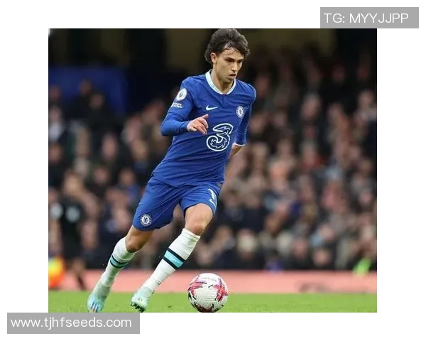 世界杯精彩对决本菲卡与多特蒙德战成平局转会传闻引发热议