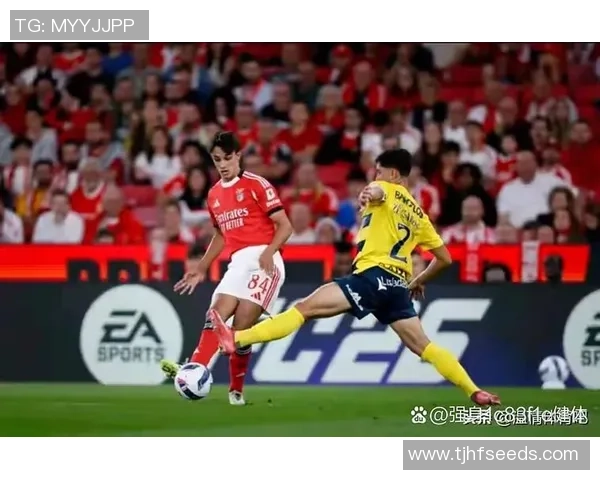 意甲焦点战波尔图与本菲卡握手言和转会传闻引发热议