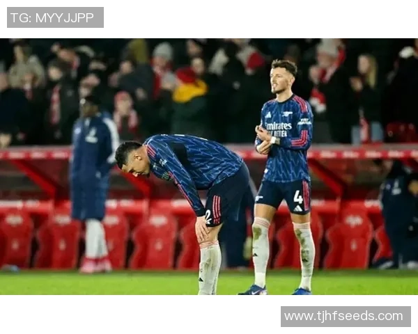 欧联杯焦点战阿森纳与国米互交白卷争议判罚引发全场热议